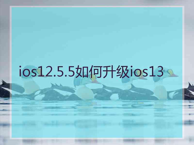 ios12.5.5如何升级ios13