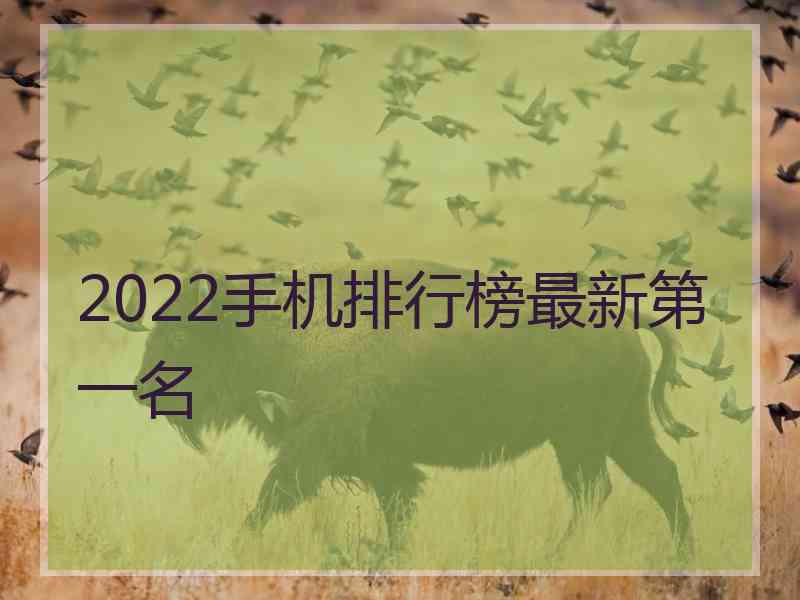 2022手机排行榜最新第一名