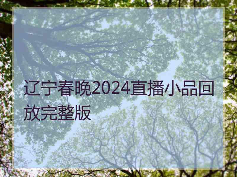 辽宁春晚2024直播小品回放完整版