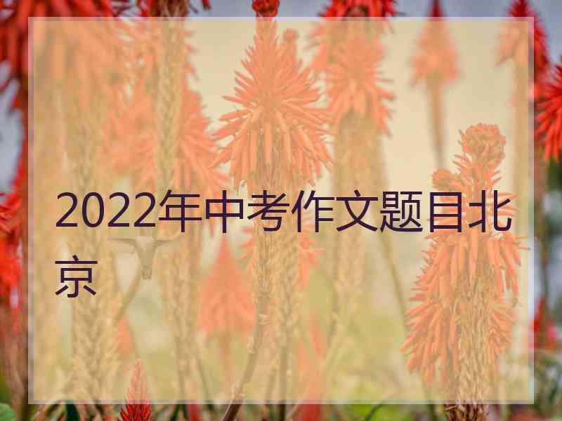 2022年中考作文题目北京