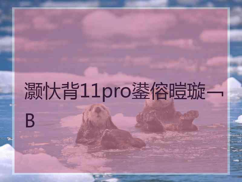 灏忕背11pro鍙傛暟璇﹁В