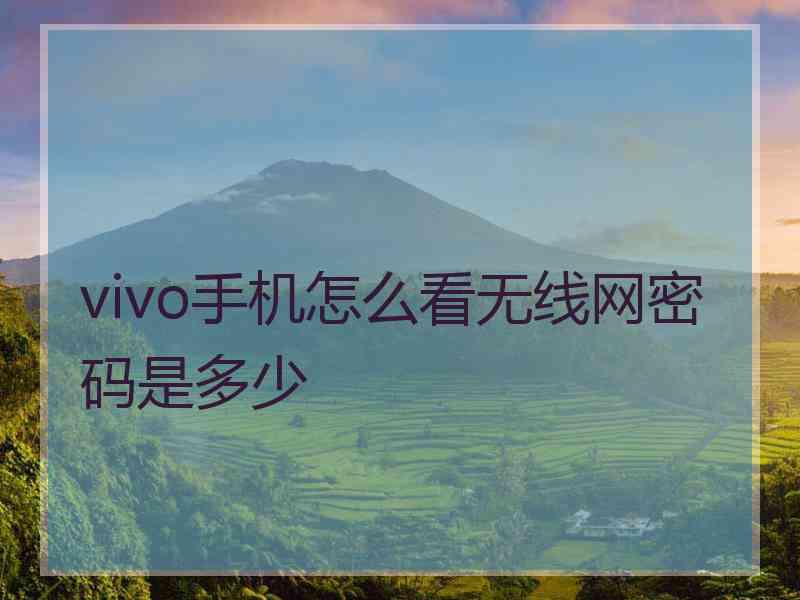 vivo手机怎么看无线网密码是多少