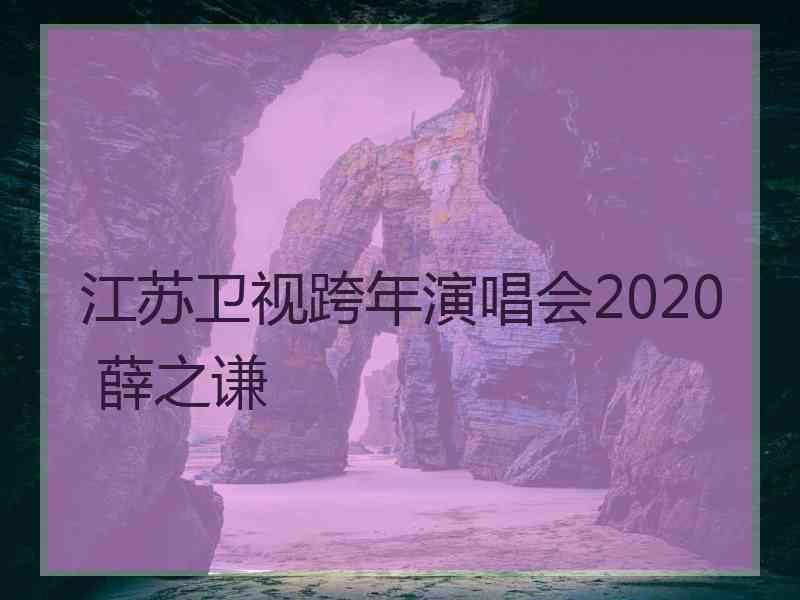 江苏卫视跨年演唱会2020 薛之谦