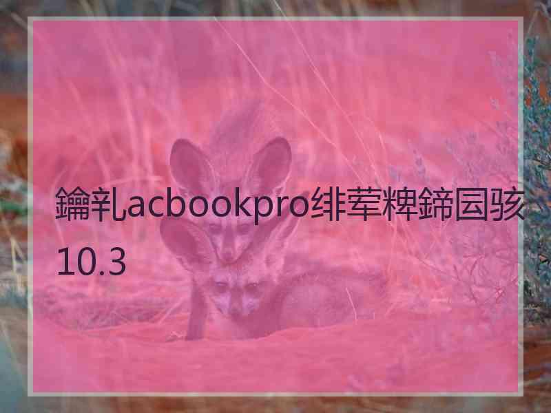 鑰乵acbookpro绯荤粺鍗囩骇10.3