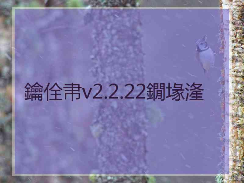 鑰佺帇v2.2.22鐗堟湰