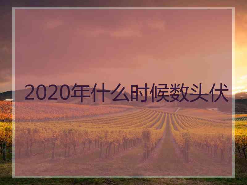 2020年什么时候数头伏