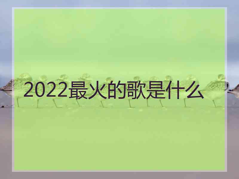 2022最火的歌是什么