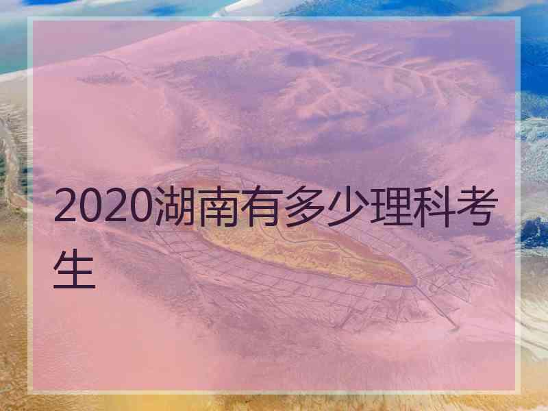 2020湖南有多少理科考生