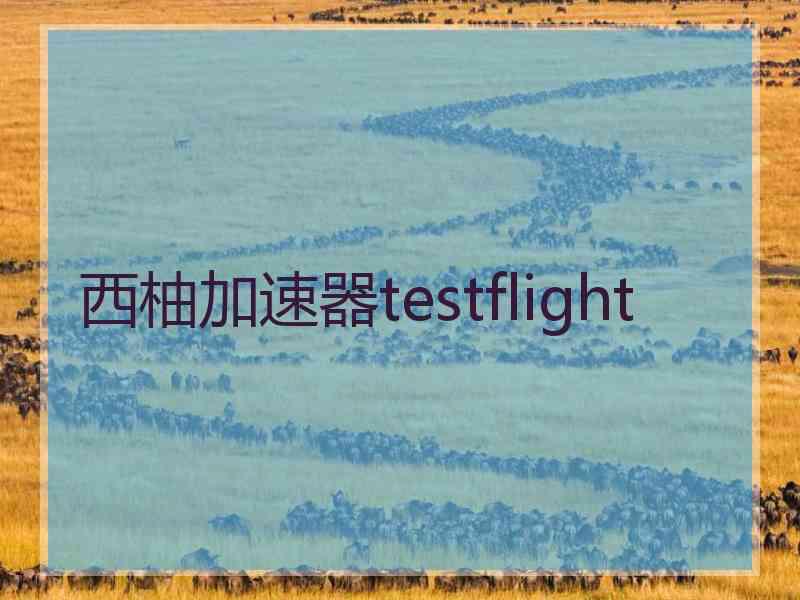 西柚加速器testflight