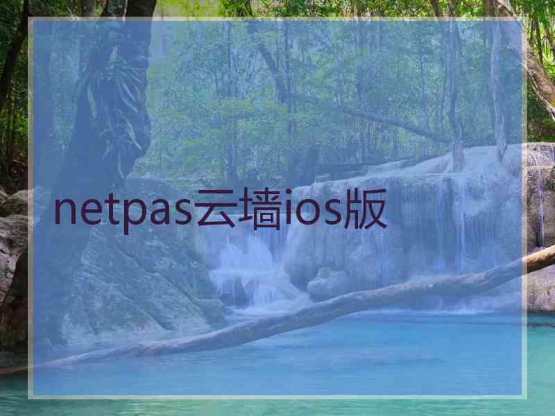 netpas云墙ios版