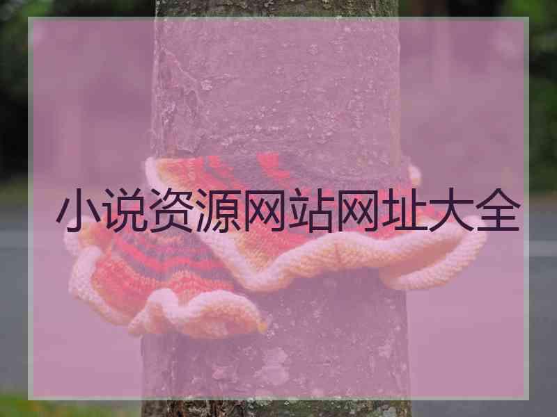 小说资源网站网址大全