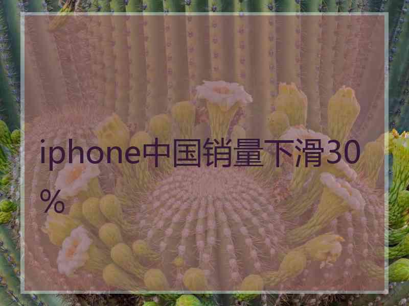 iphone中国销量下滑30%