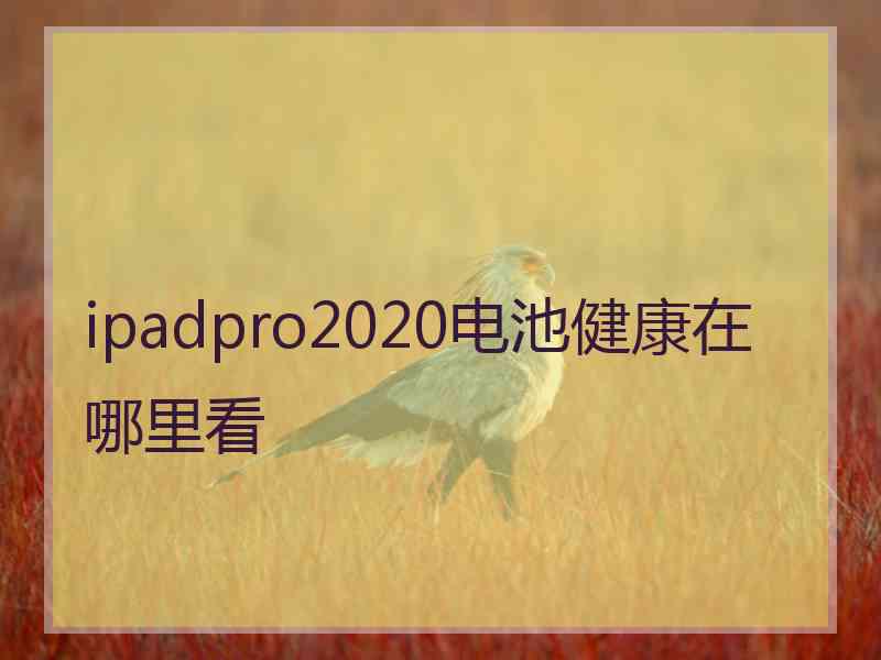 ipadpro2020电池健康在哪里看