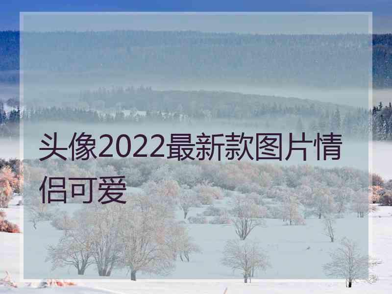 头像2022最新款图片情侣可爱