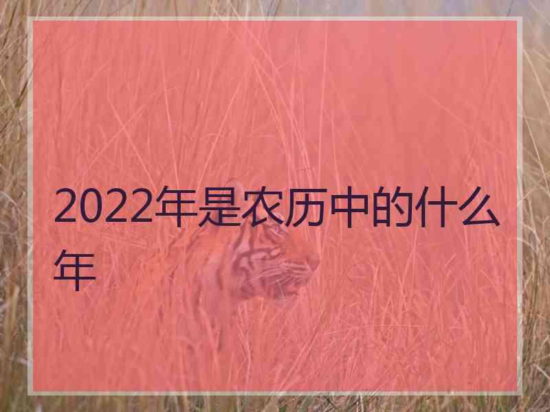 2022年是农历中的什么年