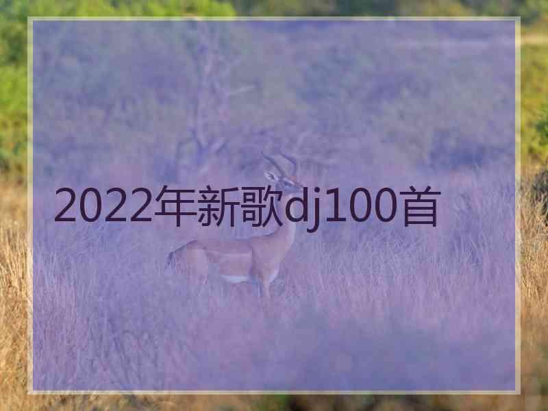 2022年新歌dj100首