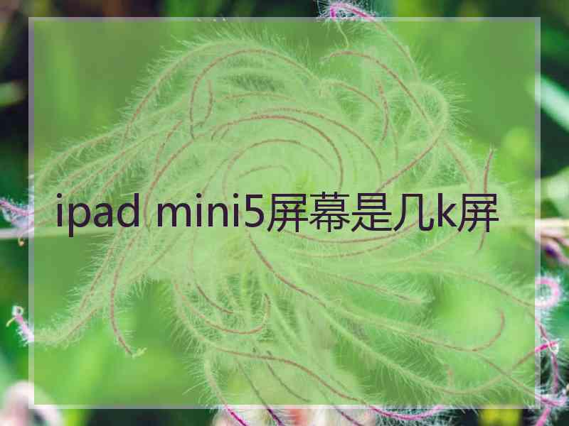 ipad mini5屏幕是几k屏