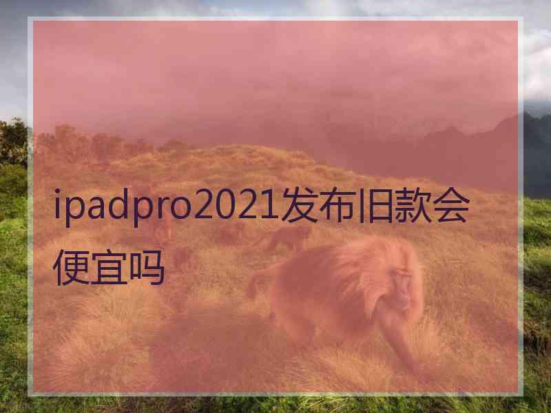 ipadpro2021发布旧款会便宜吗