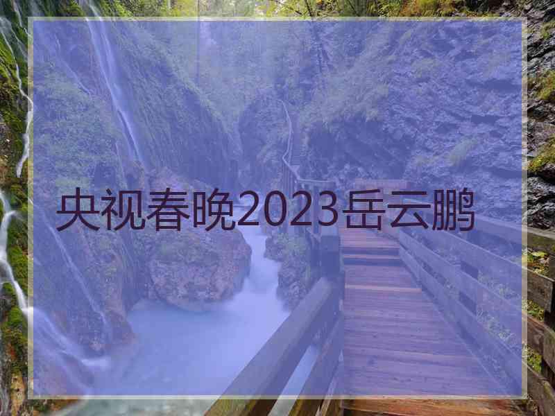 央视春晚2023岳云鹏