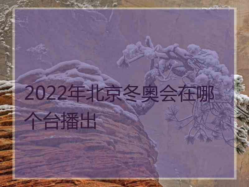 2022年北京冬奥会在哪个台播出