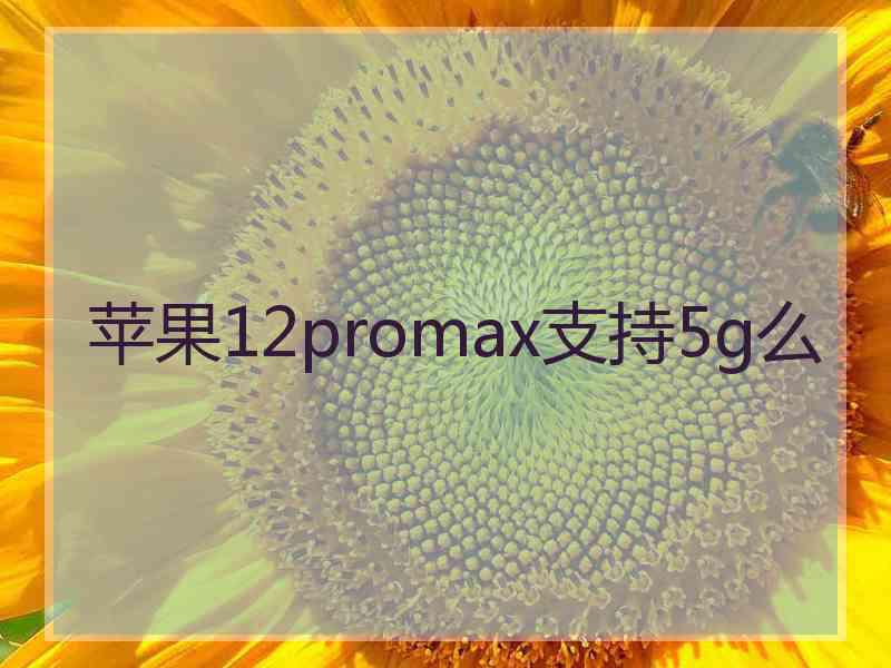 苹果12promax支持5g么