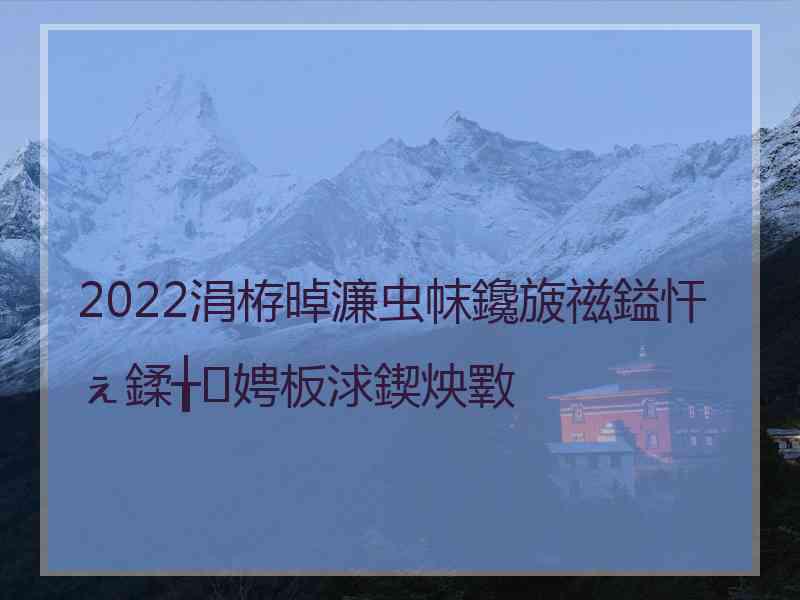 2022涓栫晫濂虫帓鑱旇禌鎰忓ぇ鍒╁娉板浗鍥炴斁