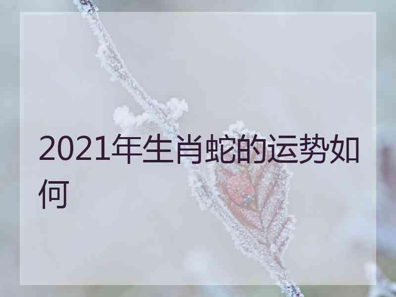 2021年生肖蛇的运势如何