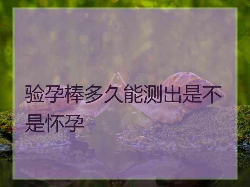 验孕棒多久能测出是不是怀孕