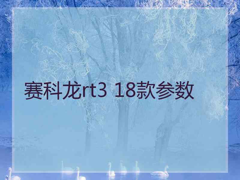 赛科龙rt3 18款参数