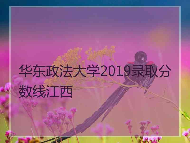 华东政法大学2019录取分数线江西