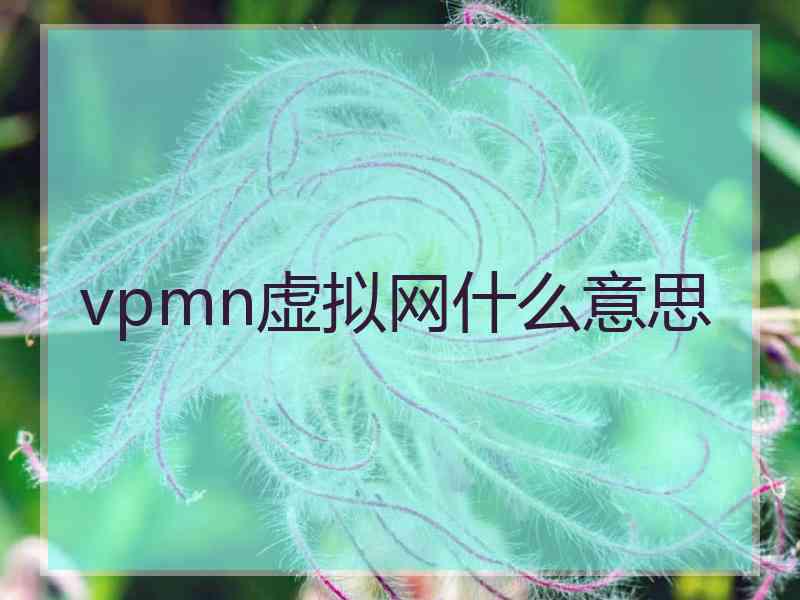 vpmn虚拟网什么意思