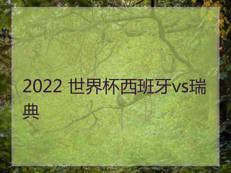 2022 世界杯西班牙vs瑞典