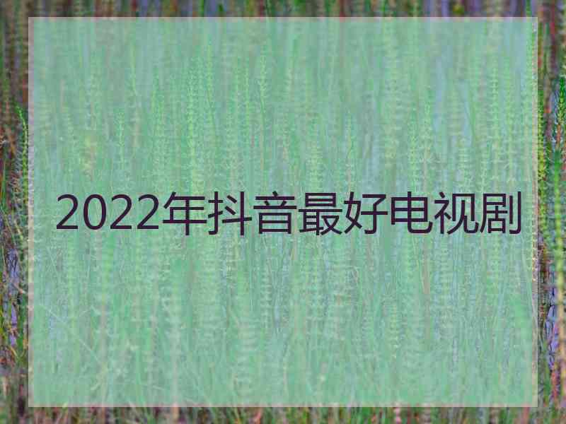 2022年抖音最好电视剧