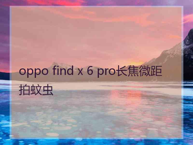 oppo find x 6 pro长焦微距拍蚊虫