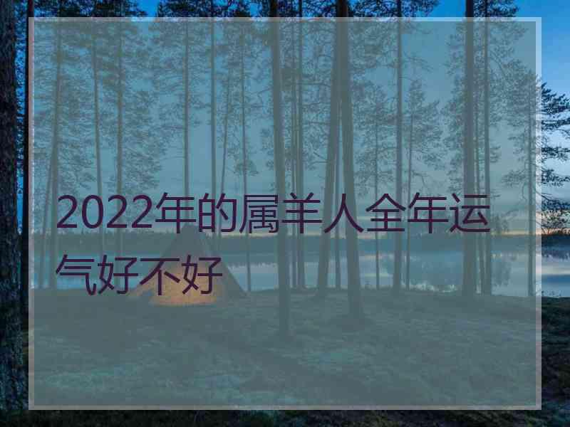 2022年的属羊人全年运气好不好