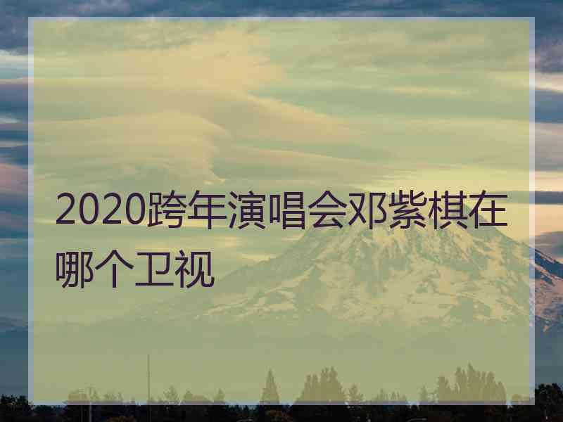 2020跨年演唱会邓紫棋在哪个卫视