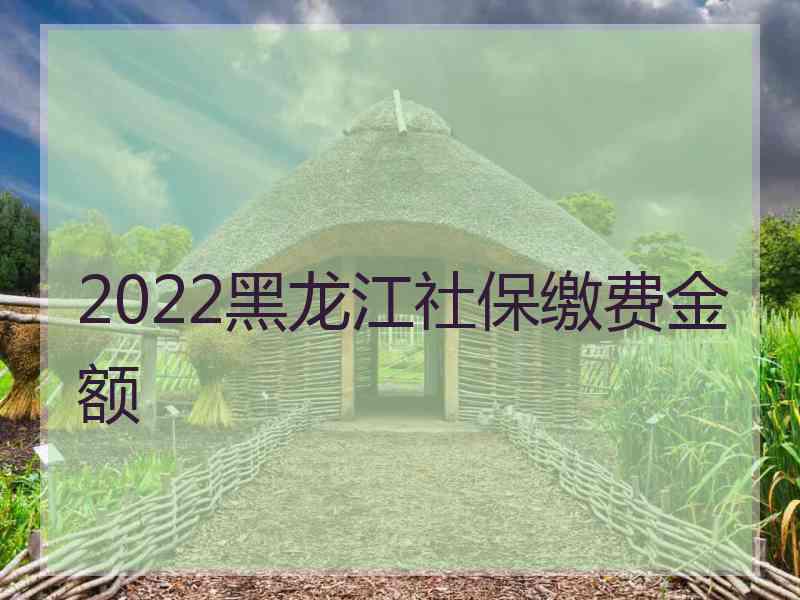 2022黑龙江社保缴费金额