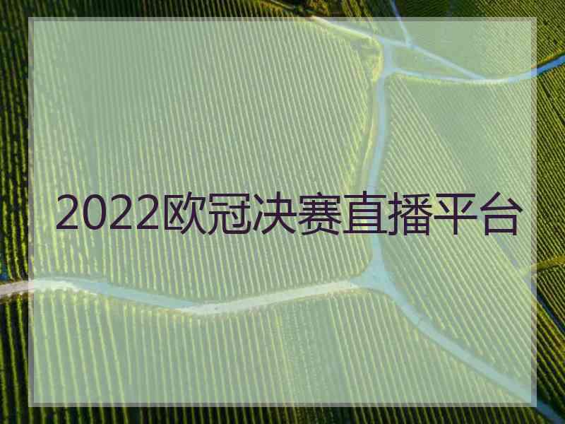 2022欧冠决赛直播平台