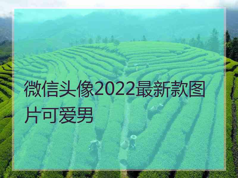 微信头像2022最新款图片可爱男