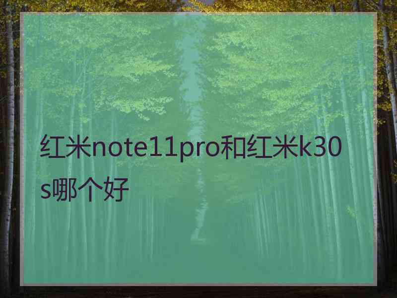 红米note11pro和红米k30s哪个好