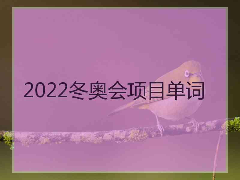 2022冬奥会项目单词