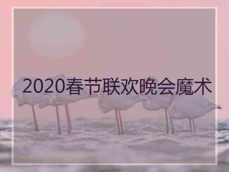 2020春节联欢晚会魔术