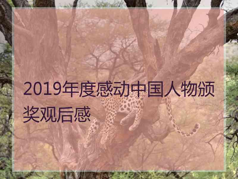 2019年度感动中国人物颁奖观后感