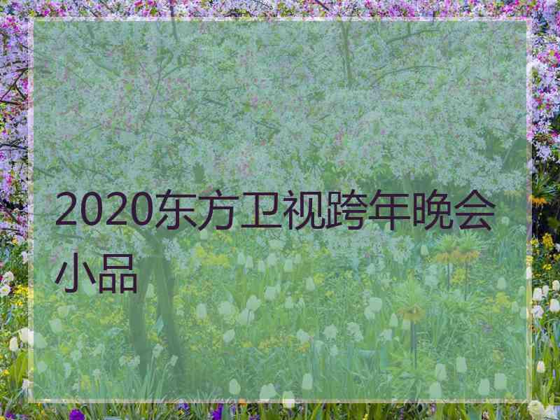 2020东方卫视跨年晚会小品