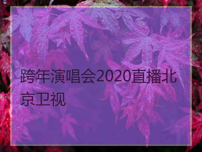 跨年演唱会2020直播北京卫视