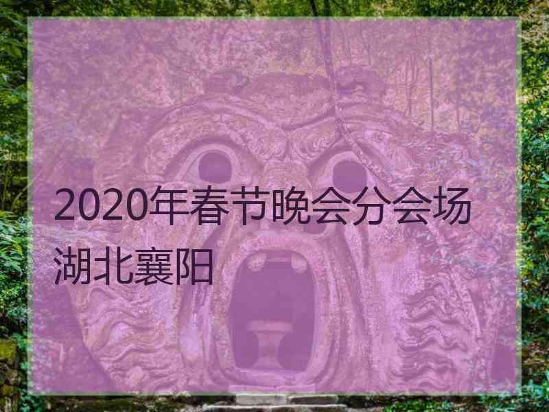 2020年春节晚会分会场湖北襄阳