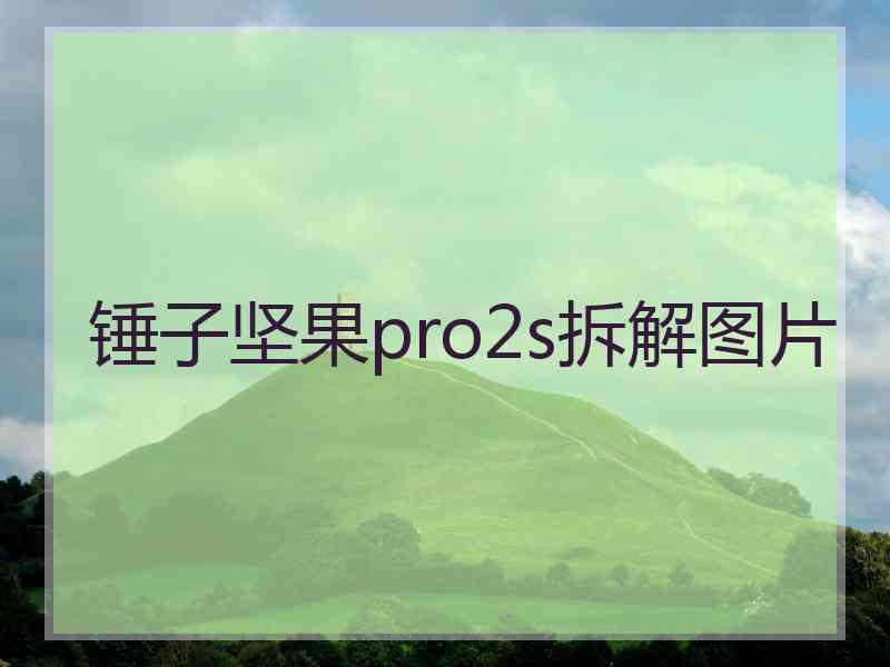 锤子坚果pro2s拆解图片