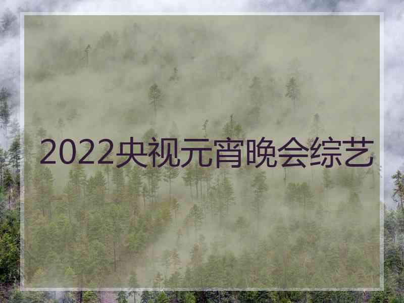 2022央视元宵晚会综艺