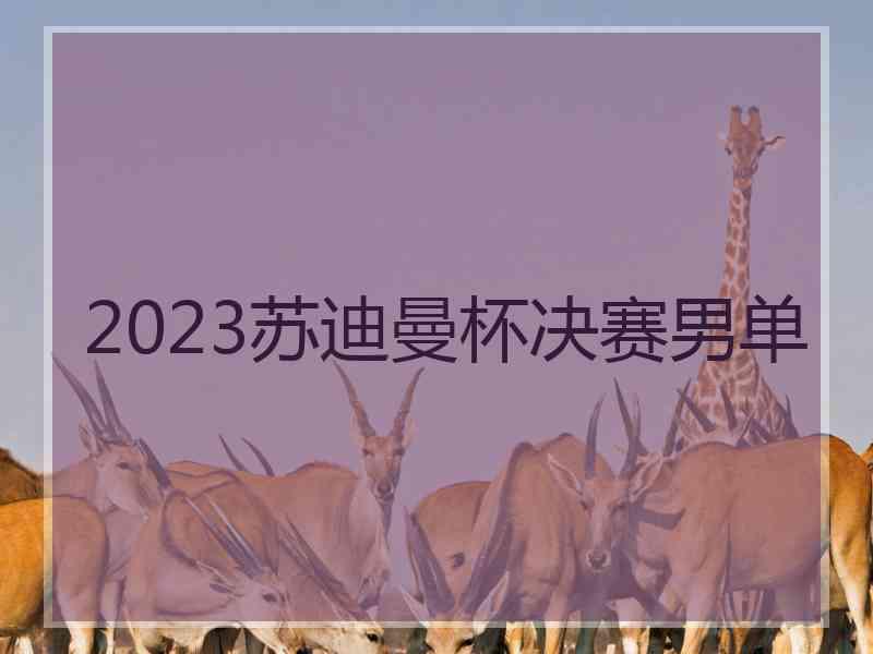 2023苏迪曼杯决赛男单