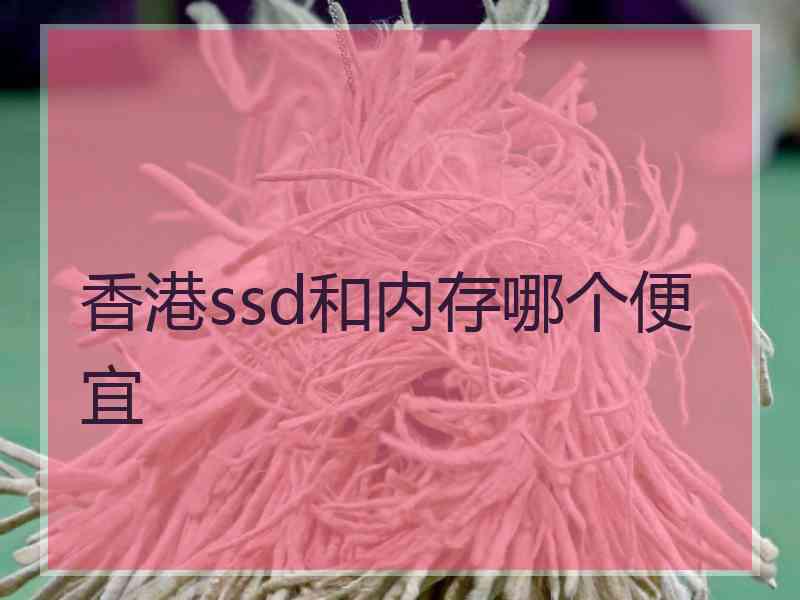 香港ssd和内存哪个便宜